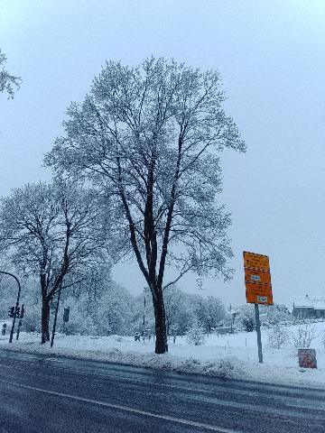 Winterbild H&uuml;ckeswagen 2026