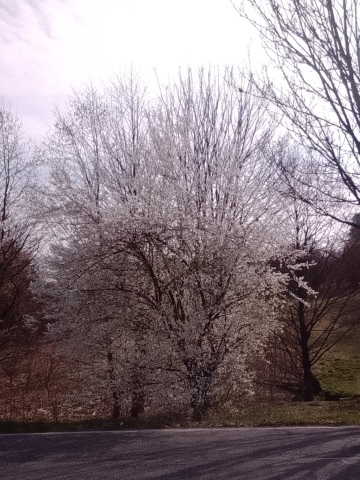 Fr&uuml;hlingsbild Hueckeswagen 2026