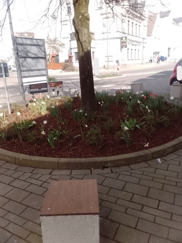 Fr&uuml;hlingsbild Radevornwald 2026