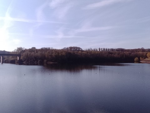 Fr&uuml;hlingsbild Radevornwald