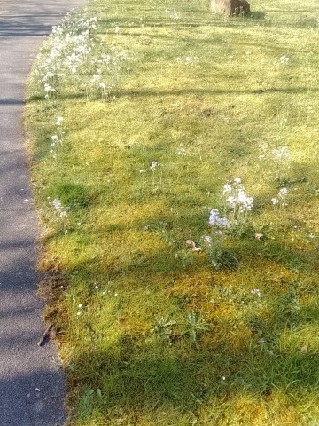 Fr&uuml;hlingsbild Remscheid Lennep