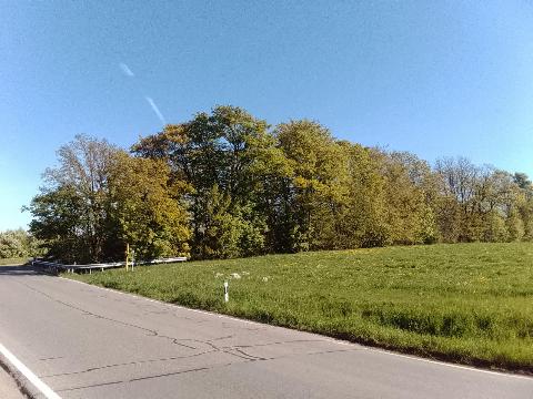 Fr&uuml;hlingsbild: Wermelskirchen - RS Bergisch Born - Remscheid Lennep