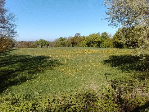 Fr&uuml;hlingsbild - Spring images: Wermelskirchen - RS Bergisch Born - Remscheid Lennep