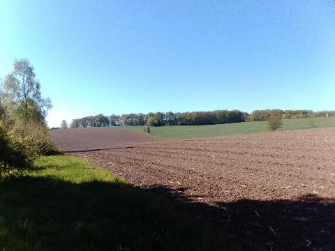 Fr&uuml;hlingsbild - Spring images: Wermelskirchen - RS Bergisch Born - Remscheid Lennep