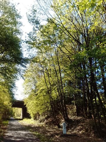 Fr&uuml;hlingsbild: Wermelskirchen - RS Bergisch Born - Remscheid Lennep