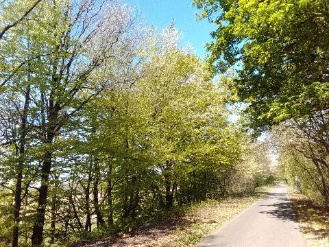 Fr&uuml;hlingsbild: Wermelskirchen - RS Bergisch Born - Remscheid Lennep