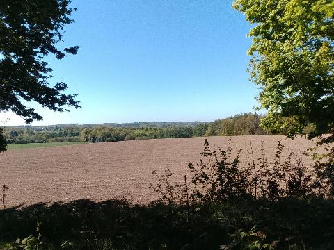 Fr&uuml;hlingsbild - Spring images: Wermelskirchen - RS Bergisch Born - Remscheid Lennep