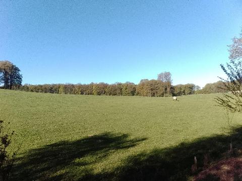 Fr&uuml;hlingsbild Spring images Balkantrasse: Remscheid Bergisch Born - H&uuml;ckeswagen